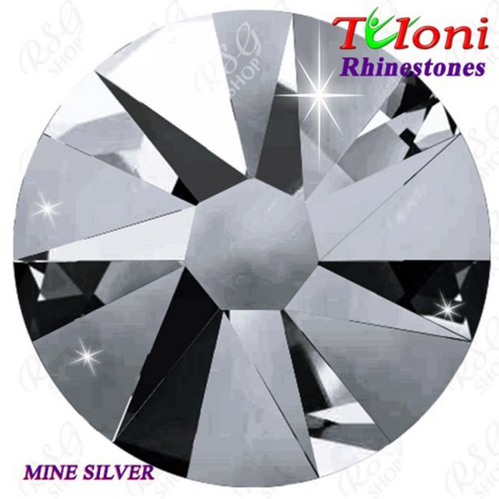 Rhinestones Tuloni col. Mine Silver 288/1440 pcs. mod. Stile HotFix